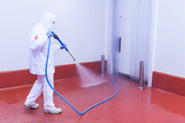 Best Patio and Deck Pressure Washing  in Elko, NV